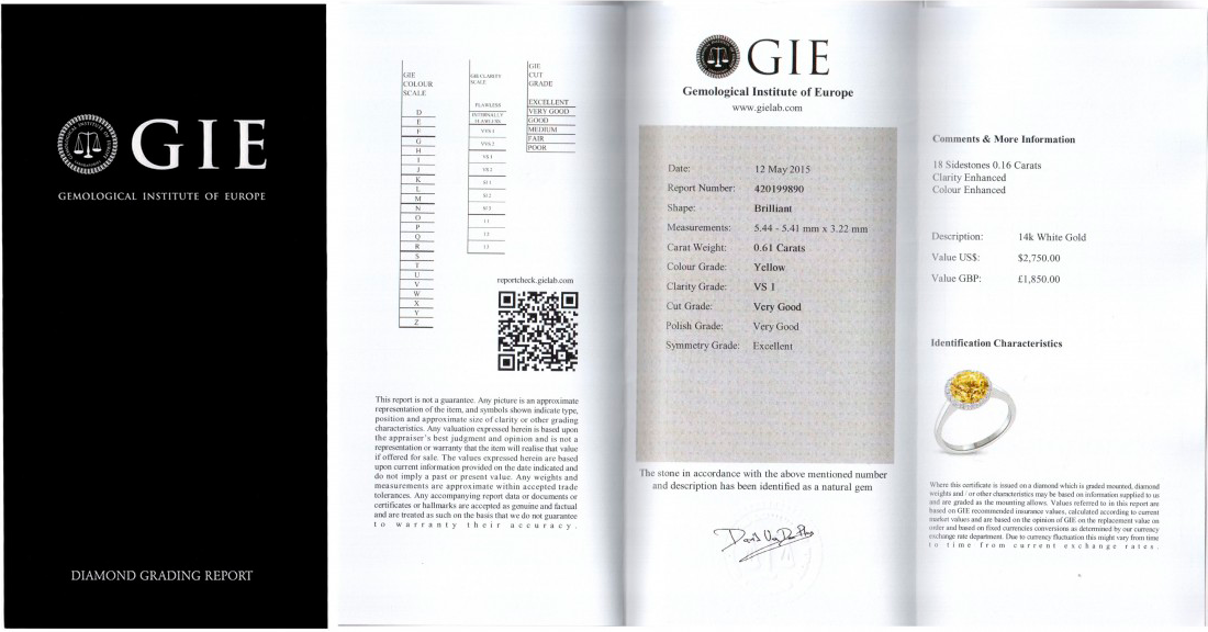 GIE : Gemological Institute of Europe