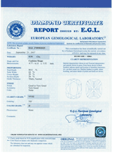 Сертификат EGL