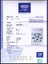 Сертификат EGC